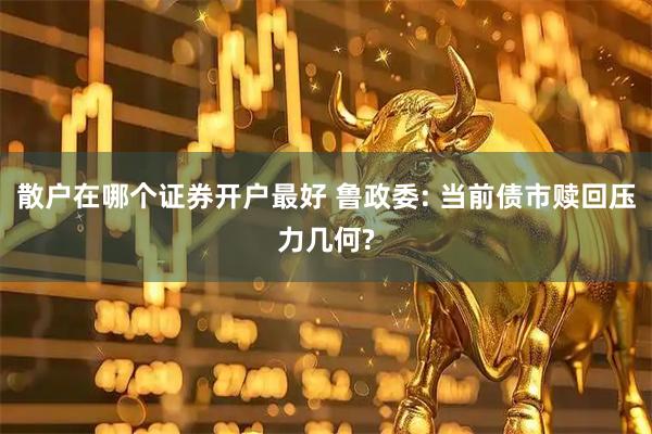 散户在哪个证券开户最好 鲁政委: 当前债市赎回压力几何?