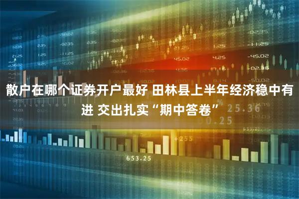 散户在哪个证券开户最好 田林县上半年经济稳中有进 交出扎实“期中答卷”