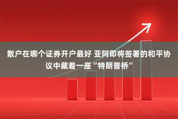 散户在哪个证券开户最好 亚阿即将签署的和平协议中藏着一座“特朗普桥”