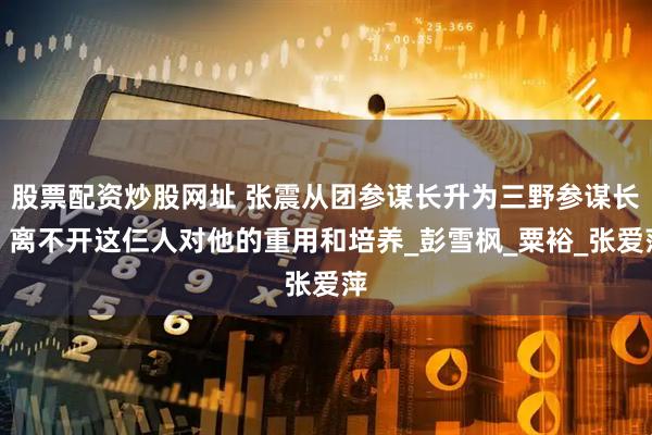 股票配资炒股网址 张震从团参谋长升为三野参谋长，离不开这仨人对他的重用和培养_彭雪枫_粟裕_张爱萍